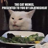 Image result for Dank Cat Memes 2019
