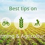Image result for Commuity Farm Stock Image