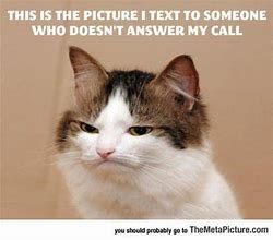 Image result for Animal Call Memes