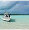 Image result for Staniel Cay Bahamas Vacation