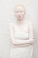 Image result for Albino Bat Aesthetic