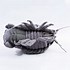 Image result for Purple Isopod Toy