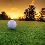 Image result for Sony Golf Ball