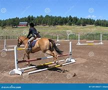 Image result for Horse Jumping Fence
