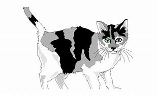 Image result for Calico Cat Clip Art