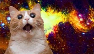 Image result for Space Cat Meme Kitteh