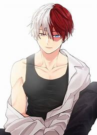 Image result for Todoroki ABS