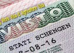 Image result for Italy Work Visa Thumbnail for YouTube Video