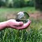Image result for Real Crystal Ball