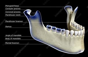 Image result for Small Jawbone