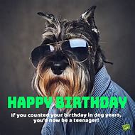 Image result for Funny and Nice Birthday Wishes