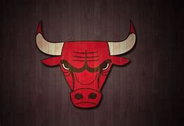Image result for Dragic NBA Bulls