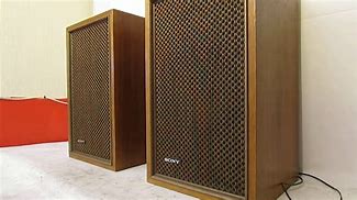 Image result for Sony Ceiling Speakers