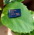 Image result for 96 GB microSD Card