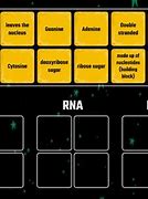 Image result for DNA vs RNA OH Group