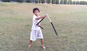 Image result for Martial Arts Weapons Wall Display