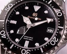 Image result for Seiko Titanium Diver Watch