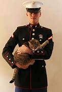 Image result for Lance Corporal Cat Meme