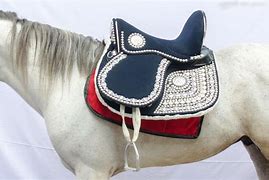 Image result for Arabian Horse Saddles