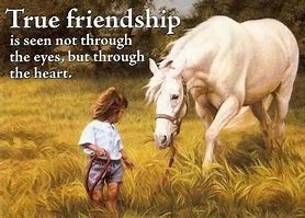Image result for Horse Friendship Quotes
