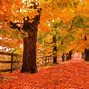 Image result for Autumn Wallpaper for Windows 10