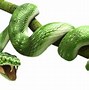 Image result for Python Snake No Background