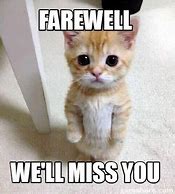 Image result for Missing You Sad Cat Meme