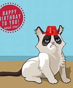 Image result for Happy Birthday Cat Meme