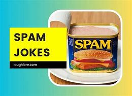 Image result for Spam Humor