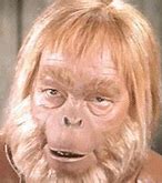 Image result for Blonde Ape On a Phone