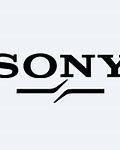 Image result for Sony E Car