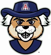 Image result for U of a Wildcats Logo