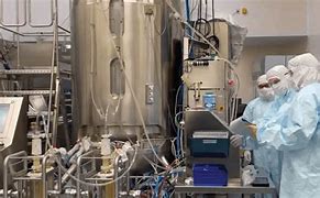 Image result for Vaccine Manufacturing