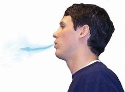Image result for exhalar
