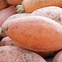 Image result for Different Squash Types