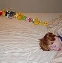Image result for Autism Toys Arrange