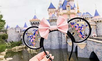 Image result for Disneyland Accessories