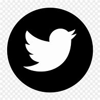 Image result for Twitter Logo On iPhone Black