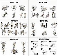 Image result for Workout Routine to Gain Muscle