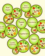 Image result for Vegetarian Diet Types