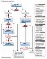 Image result for AHA ACLS Card