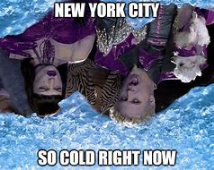 Image result for New York City Winter Meme