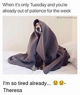 Image result for Tired Tuesday Meme