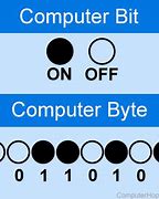 Image result for Computer Bite