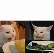 Image result for Smudge The Cat Meme Template
