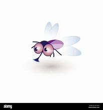 Image result for Funny House Fly