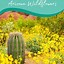 Image result for Arizona Flowers