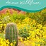 Image result for Arizona Wildflowers