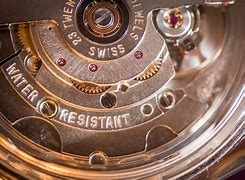 Image result for Watch Movement Macro Image