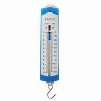 Image result for Newton Meter Spring Scale